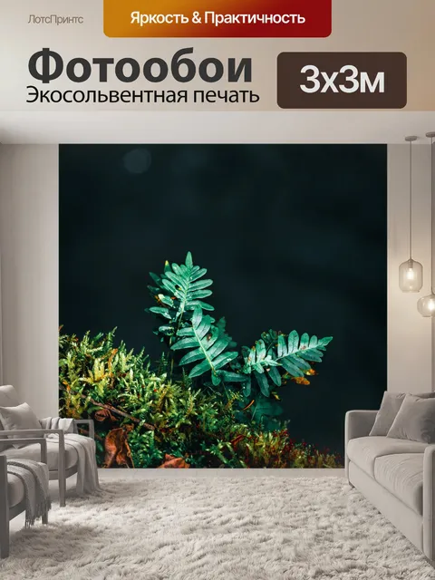 Фотообои Папоротник