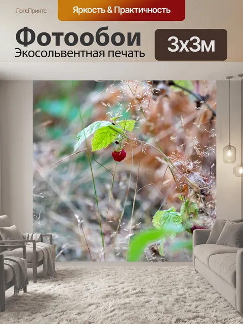 Фотообои лес