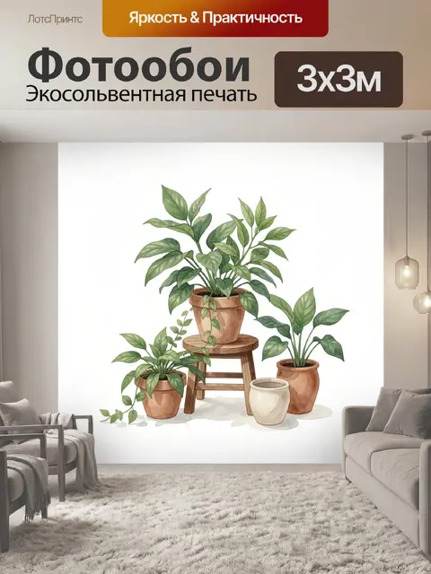 Фотообои Комнатные растения в терракотовых горшках