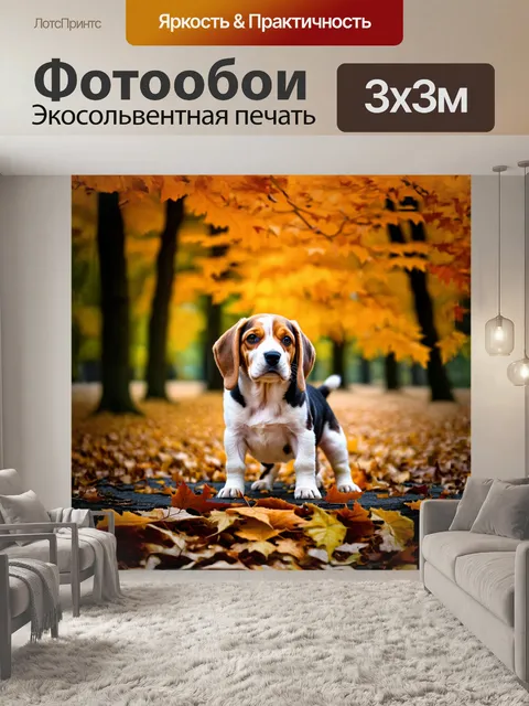 Фотообои пушистая собака породы бигль