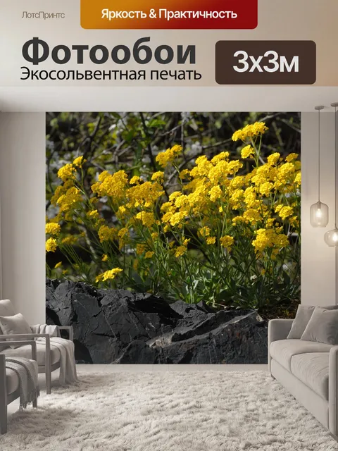 Фотообои Весна