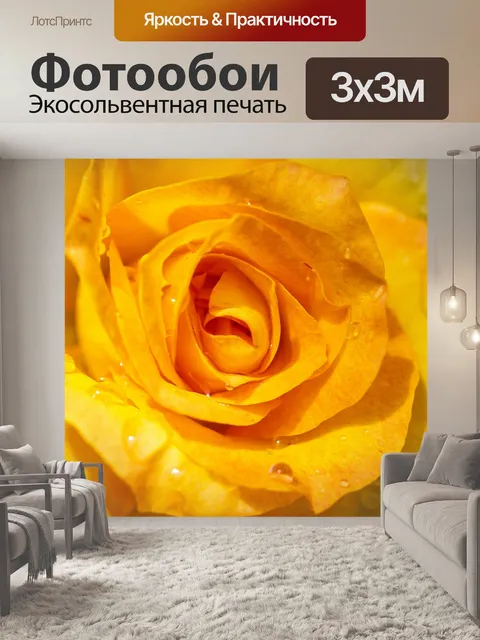 Фотообои Роза в саду