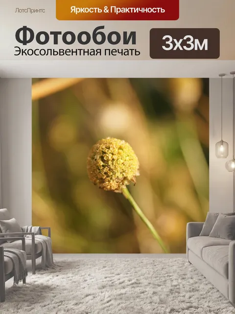 Фотообои Природа