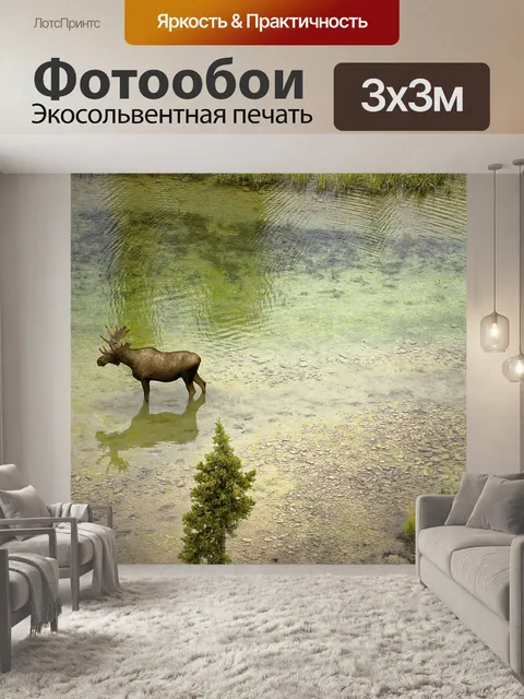 Фотообои Лось