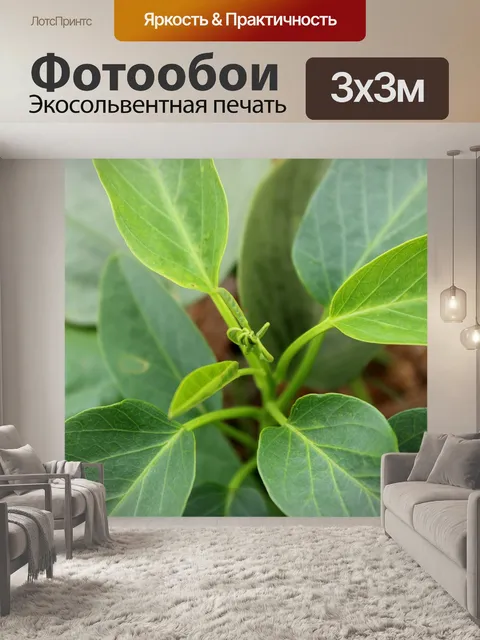 Фотообои Дикая лоза листья