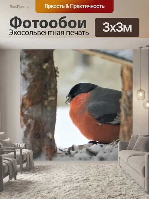 Фотообои Снегирь