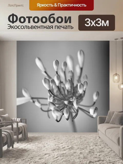 Фотообои Черно-белый