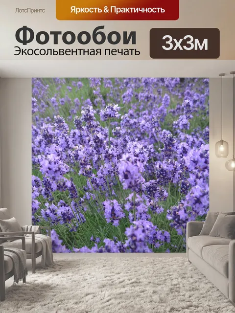Фотообои Лаванда