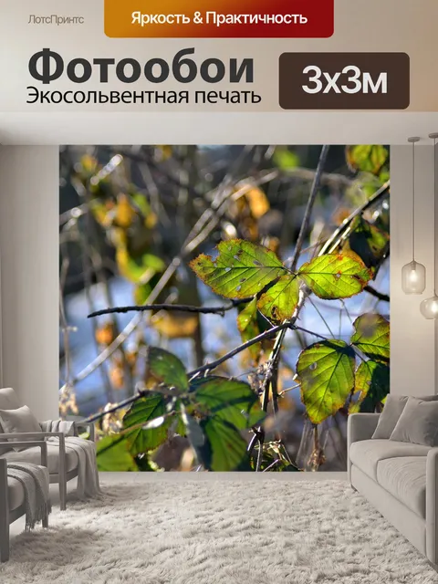 Фотообои Листья