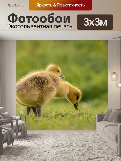 Фотообои Гуси