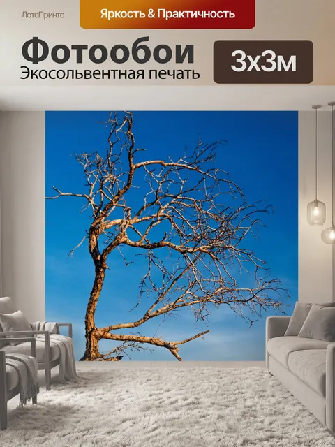 Фотообои Мертвое дерево, силуэт дерева