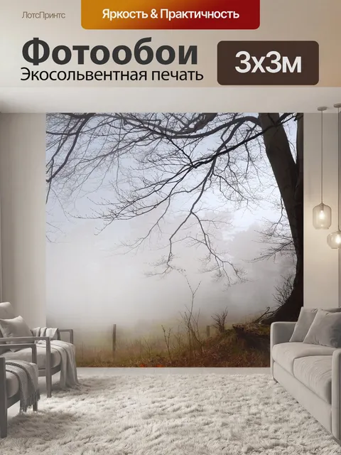 Фотообои Туман