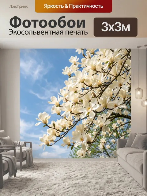 Фотообои Белые цветы на фоне неба