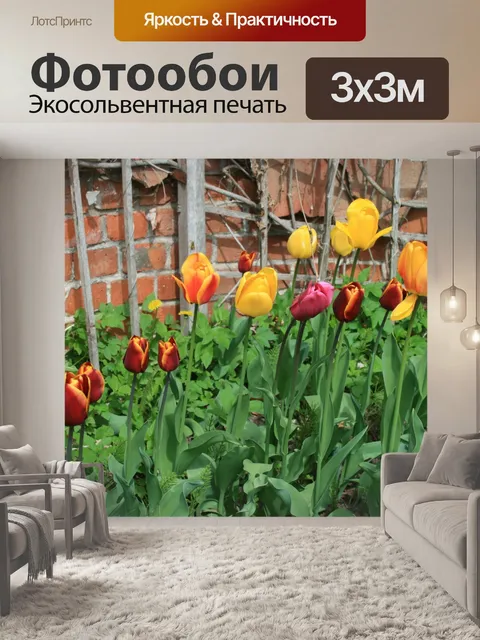 Фотообои цветные тюльпаны