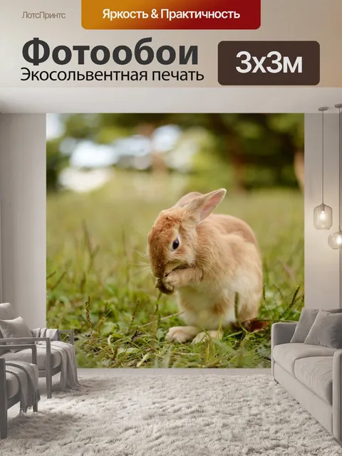 Фотообои Кролик