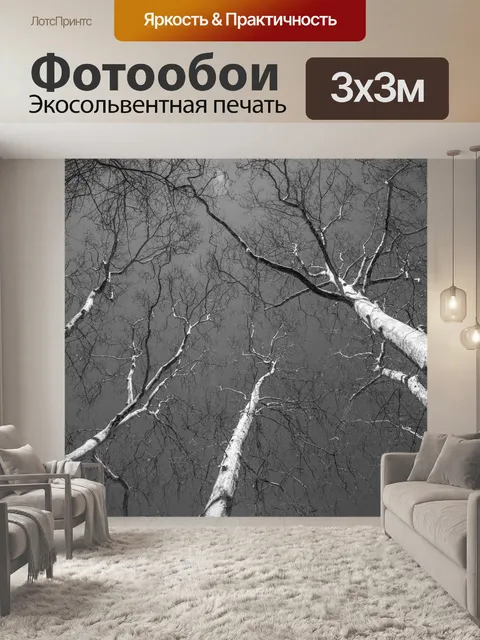 Фотообои Деревья без листьев