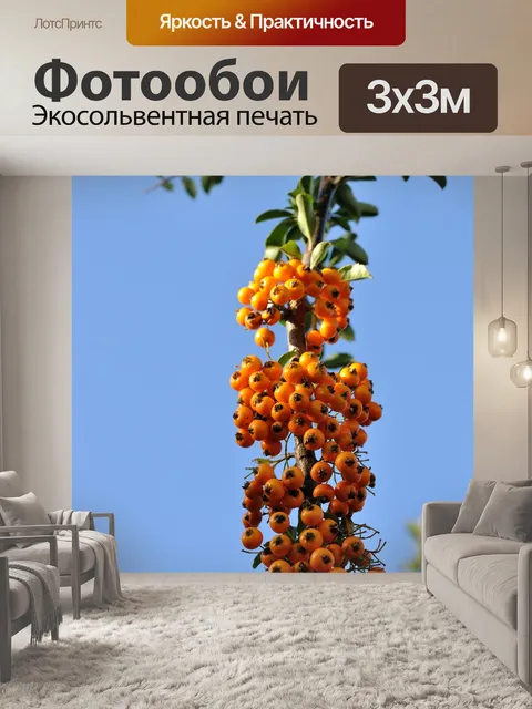 Фотообои Сад