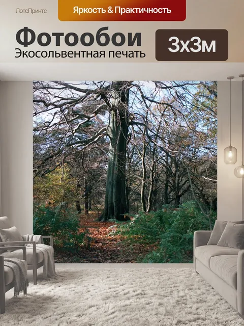 Фотообои Дерево