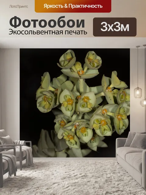 Фотообои Полевые цветы