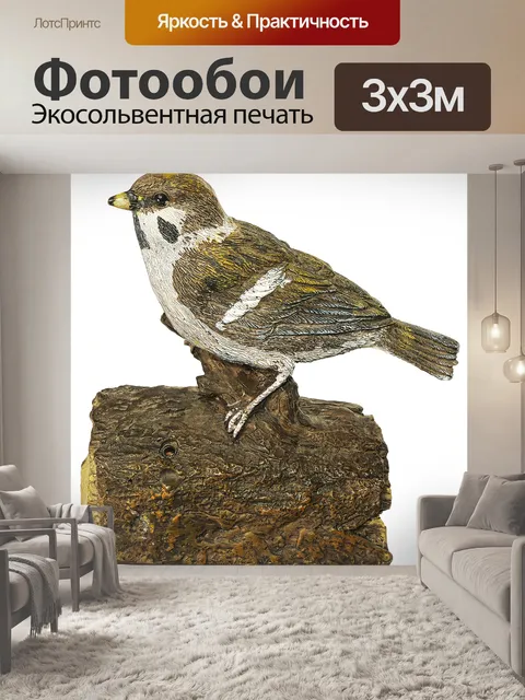 Фотообои Птица