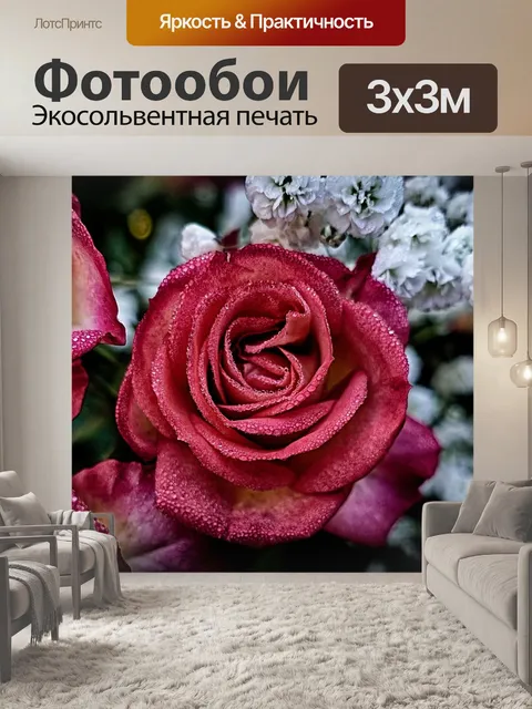 Фотообои Розы