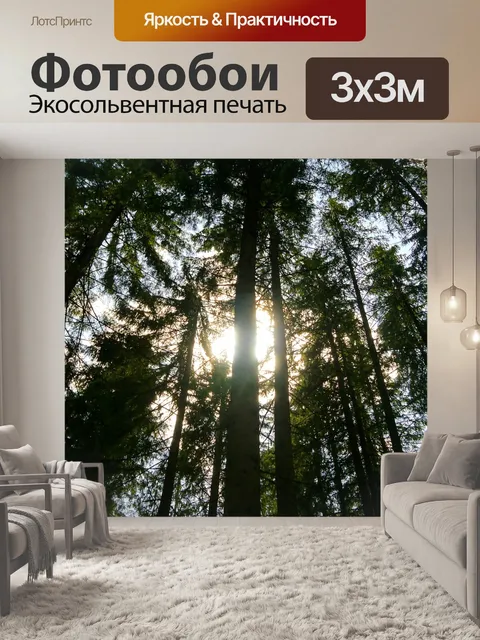Фотообои Лес