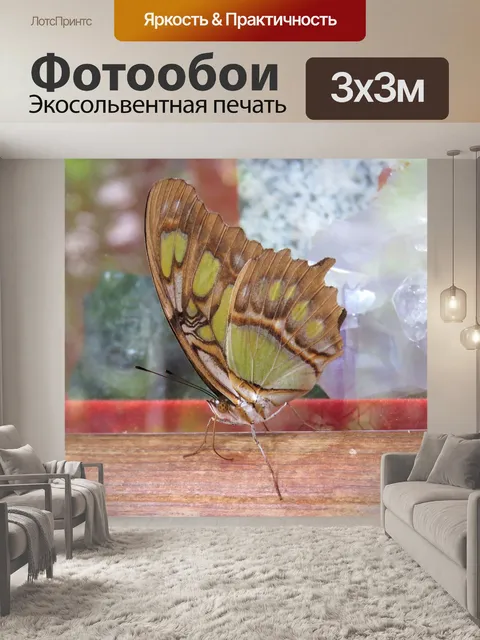 Фотообои Бабочка