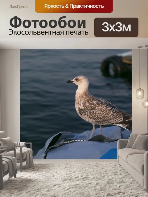 Фотообои Птица