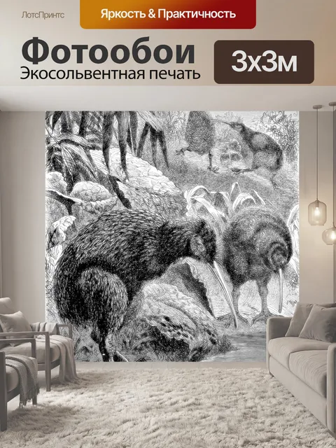 Фотообои Киви