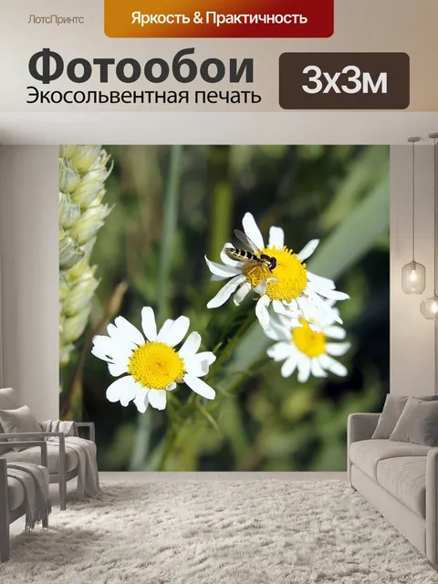 Фотообои Цветы