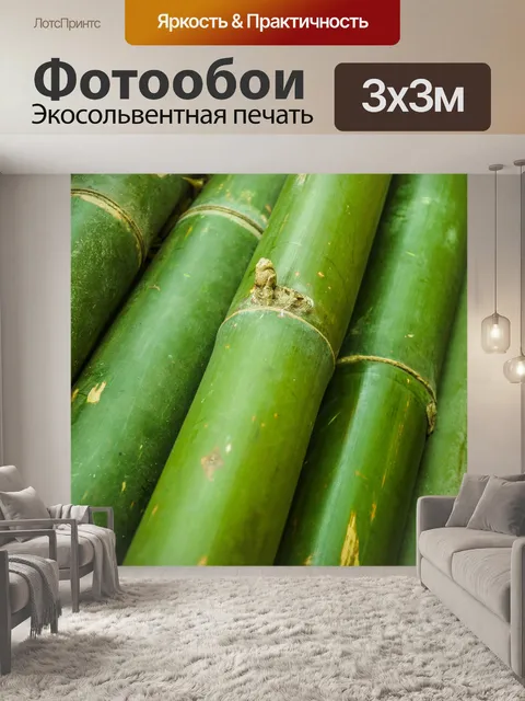 Фотообои Бамбуковый лес природа фон