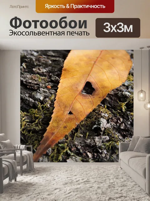 Фотообои Лист