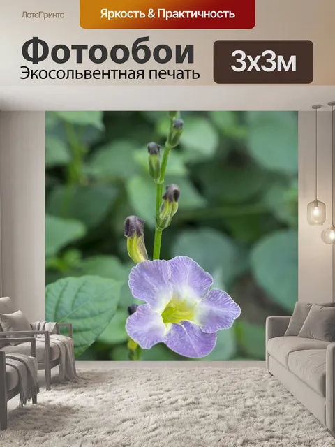 Фотообои Природа