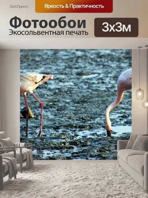 Фотообои Фламинго