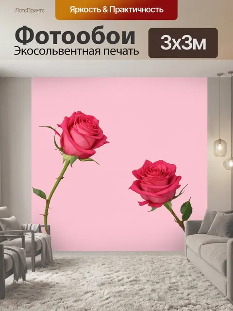 Фотообои розы в стиле минимализм