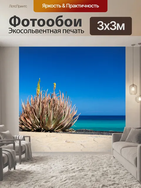 Фотообои Алоэ вера и море