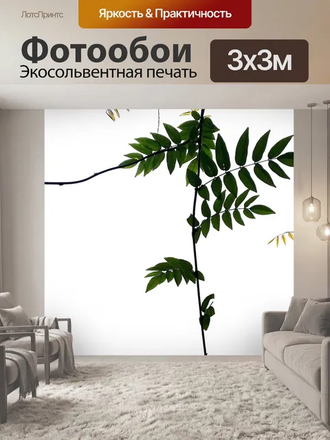 Фотообои Природа