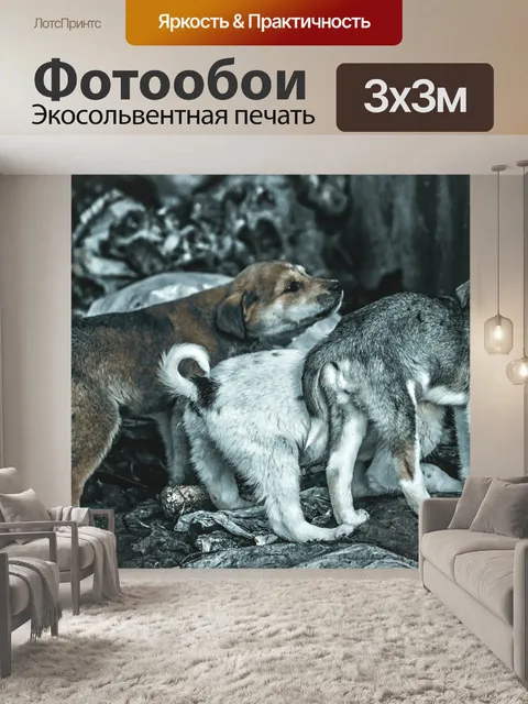 Фотообои Природа
