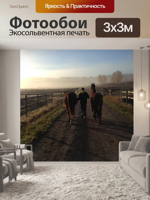 Фотообои Лошади