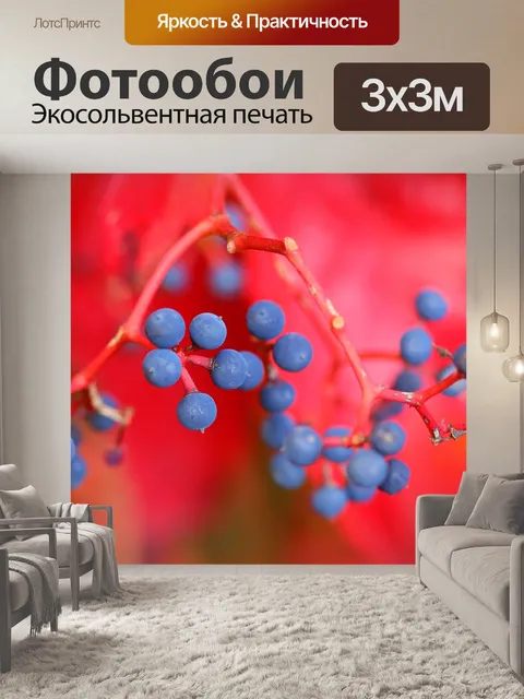 Фотообои Ягоды