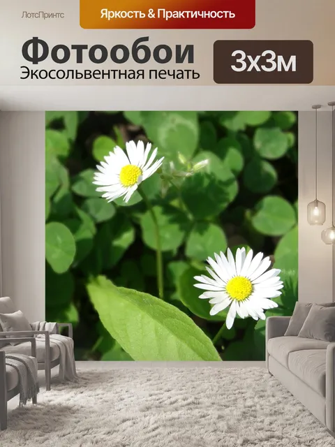 Фотообои Цветы
