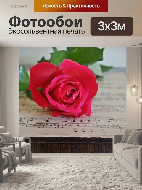 Фотообои Роза