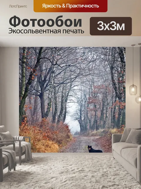 Фотообои Лес