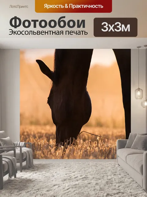Фотообои Лошадь