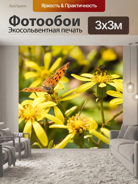 Фотообои Бабочка