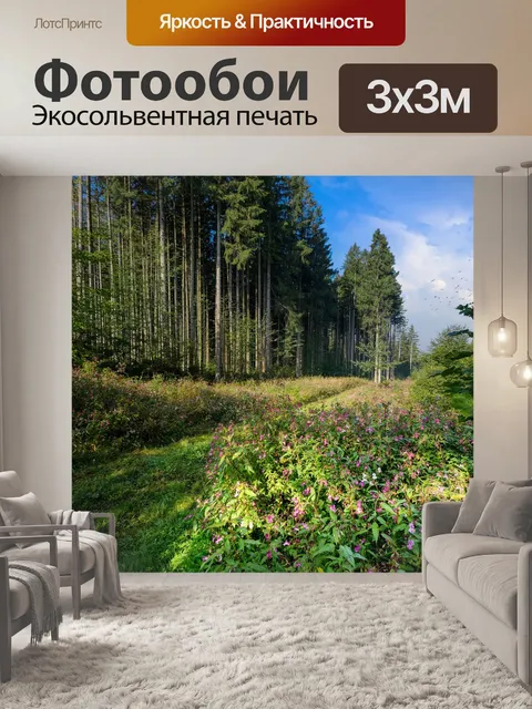 Фотообои Лес
