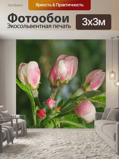 Фотообои Цветы