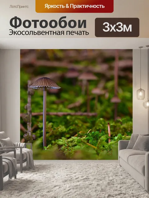 Фотообои Лес