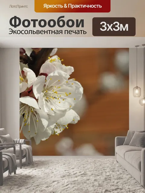 Фотообои Вишни в цвету