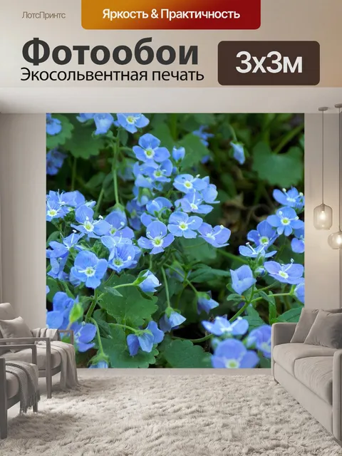 Фотообои Цветы